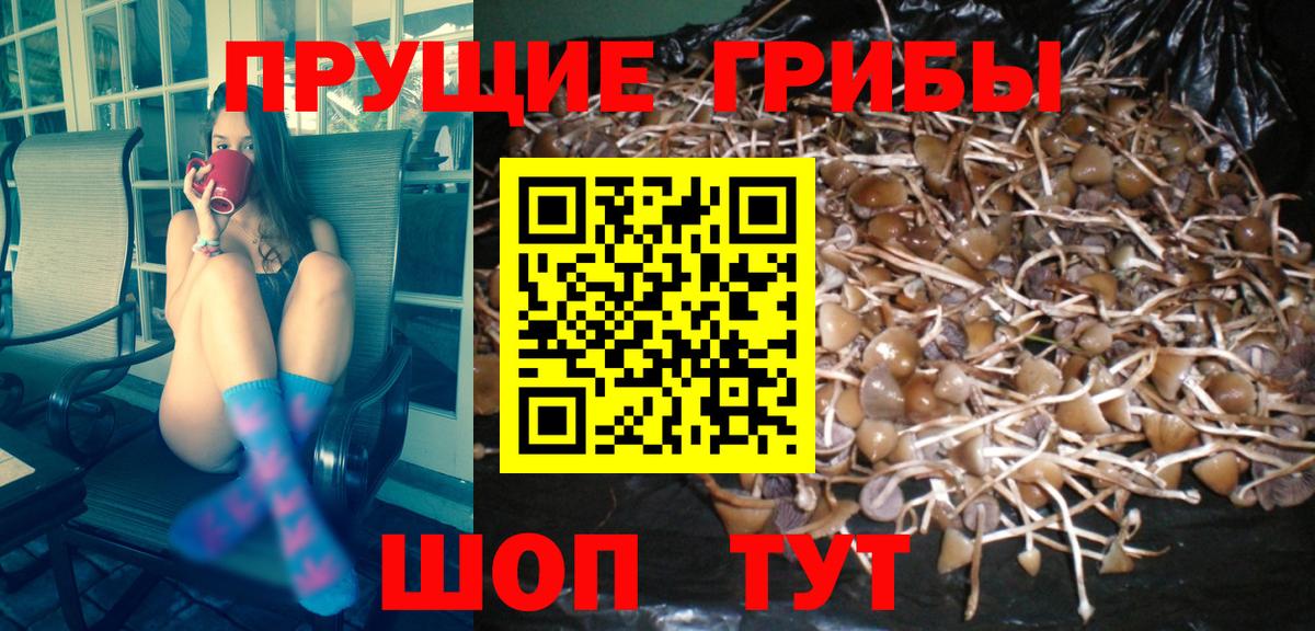 Псилоцибиновые грибы Magic Shrooms  Галлюциногенные грибы мухоморы  Вход с VPN  Касимов 