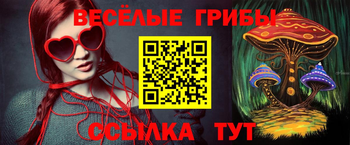 Псилоцибиновые грибы Psilocybine cubensis Касимов
